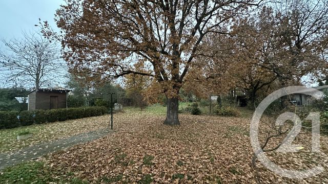 maison à vendre - 7 pièces - 172.0 m2 - FONSORBES - 31 - MIDI-PYRENEES - Century 21 Oustal