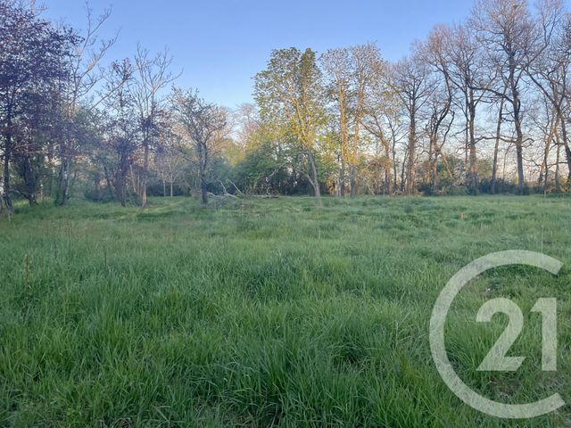 terrain à vendre - 3454.0 m2 - LEGUEVIN - 31 - MIDI-PYRENEES - Century 21 Oustal
