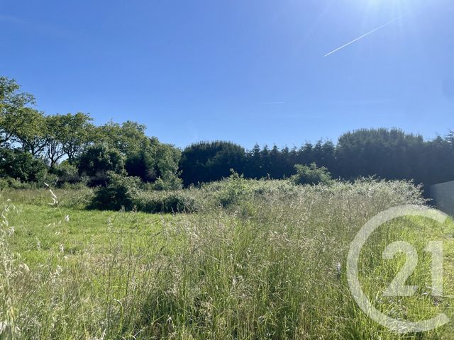 terrain à vendre - 1274.0 m2 - LEGUEVIN - 31 - MIDI-PYRENEES - Century 21 Oustal
