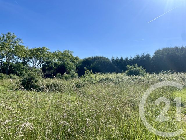 terrain à vendre - 1274.0 m2 - LEGUEVIN - 31 - MIDI-PYRENEES - Century 21 Oustal