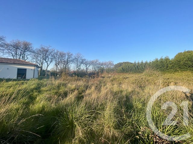 terrain à vendre - 1274.0 m2 - LEGUEVIN - 31 - MIDI-PYRENEES - Century 21 Oustal
